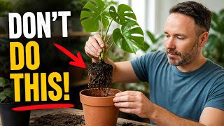 Repotting Water-Propagated Monstera Cuttings - Don't Do This!