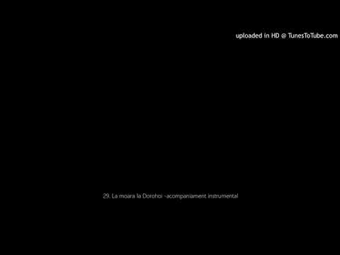 29. La moara la Dorohoi -acompaniament instrumental