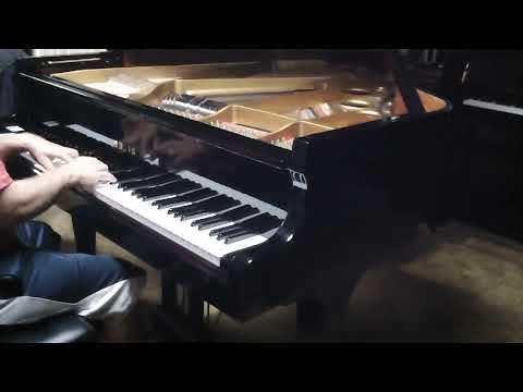 5'10 Grand Piano – Polished Ebony Sojin DG-2 image 9