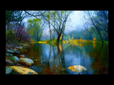 Biệt khúc Sheet - Châu Thùy Dương