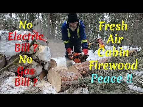 Firewood, Full Time Life Off Grid   This Just One Chore ! S4,E135