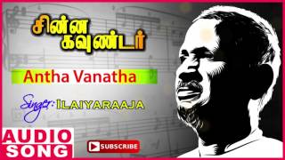 Antha Vanatha Song  Chinna Gounder Tamil Movie  Vi