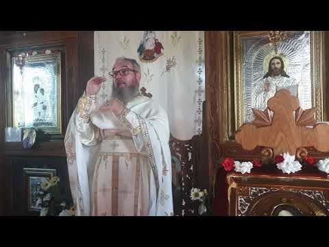 Tânărul cel bogat-Duminica a-XII-a după Rusalii