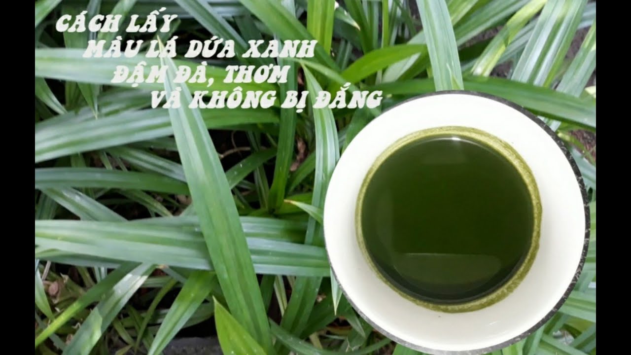 Cách Nấu Rau Câu Chân Vịt