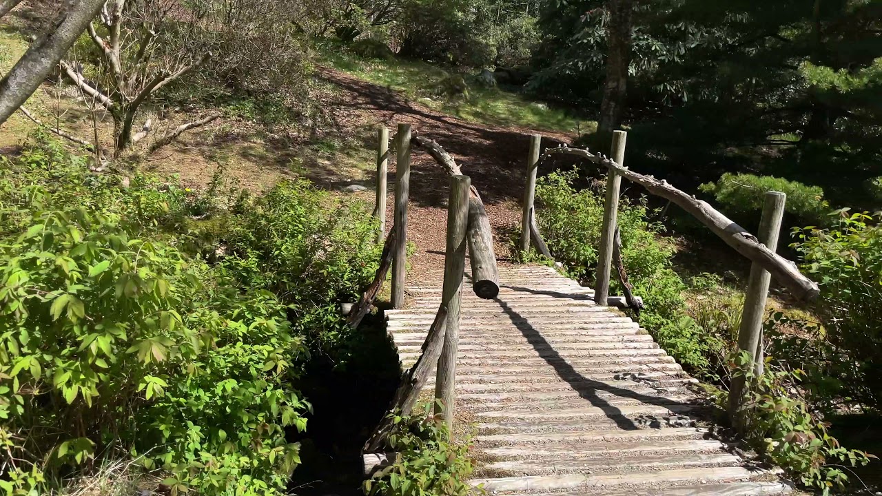 Discover a fascinating glimpse of Rogaland Arboretum.