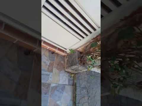 Vídeo de Gerson G.