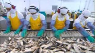 How Its Made - Giant Valves, Sardines, Barographs, Disposable Diapers