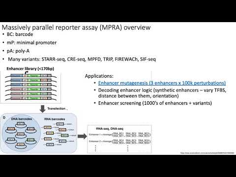 MCB 182 Lecture 8.6 - Massively parallel reporter assays (MPRA)