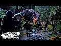 The Tyrannosaurus Rex S Attack The Camp The Lost World Jurassic Park Science Fiction Station