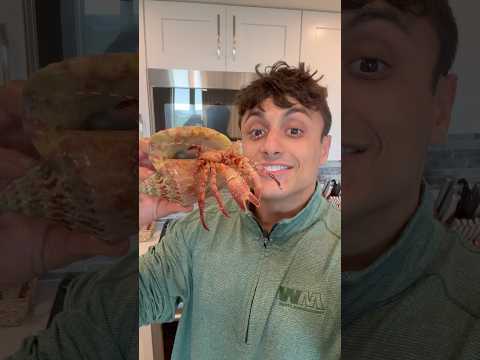 Cooking Giant Hermit Crab