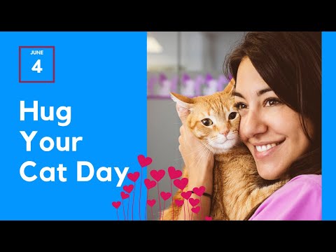 National Hug Your Cat Day : June 4th