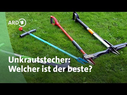 Praxistest: Unkrautstecher im Vergleich | MDR Garten