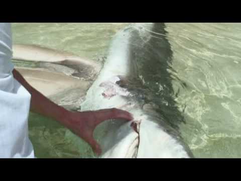 Raja Ampat Kayak Expedition