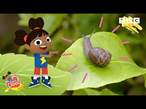Things you find in the Garden | Yakka Dee Official