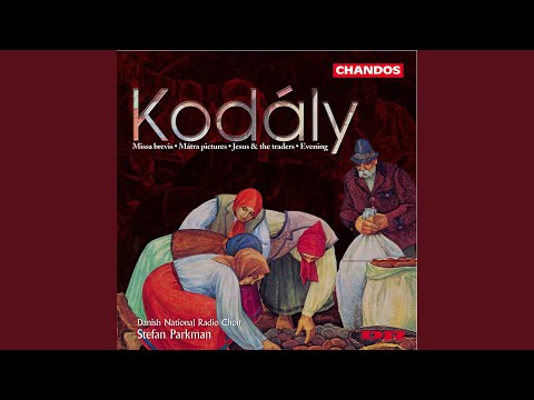 Missa brevis: II. Kyrie (Version for Choir and Orchestra)