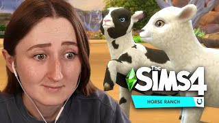 Can SHEEP get you rich in The Sims 4?