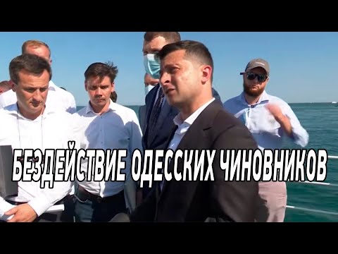 Хватит кошмарить бизнес! Одесские бизнесмены просят Зеленского навести порядок