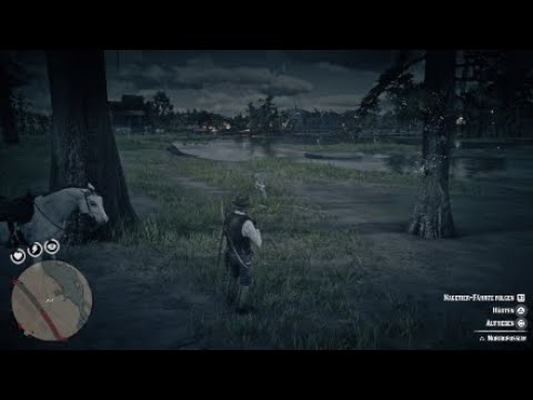Red Dead Redemption 2: Meisterjäger Herausforderung 9 & 10