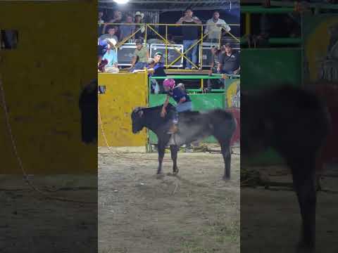 Monta de toros Rodeo El Segoviano San Fernando Nueva Segovia