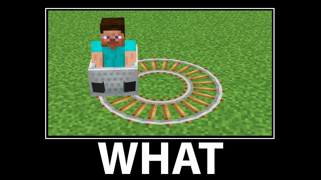 WAIT WHAT - Minecraft #29