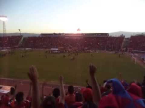 Willster!!! willster!!! willster !!!