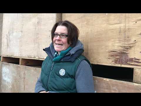 4 Moderne Pflanzenzucht Teil 4  Vertrieb und Verkauf