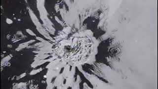 Broadcast : Until Then