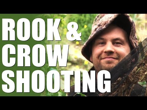 Rook and crow shooting with Mark Gilchrist