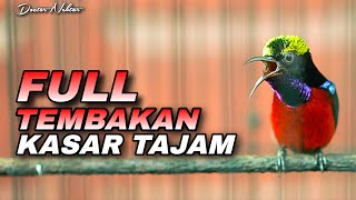 Download lagu AWAS EMOSI ! KONIN GACOR FULL ISIAN BREN BELALANG EMAS TEMBAKAN KASAR COCOK BUAT MASTERAN KOLIBRI mp3 Download lagu AWAS EMOSI ! KONIN GACOR FULL ISIAN BREN BELALANG EMAS TEMBAKAN KASAR COCOK BUAT MASTERAN KOLIBRI mp3