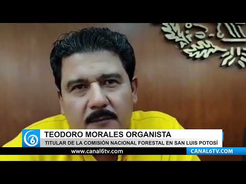 SLP, entidad mas afectada por incendios forestales en 2026