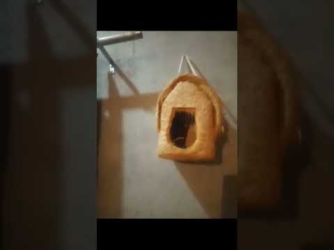 happy birthday cake 🎂🎂🎂🎂🎂🎂🎂🎂😋😋😋😋😋