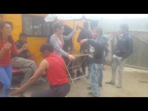 Betivu de la maireus