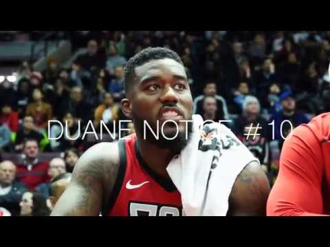 Duane Notice, Raptors 905 - 2018-19 Season
