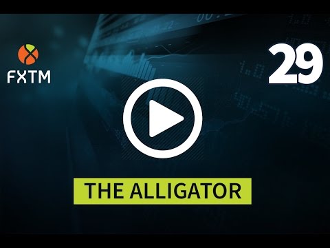 The Alligator