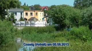 preview picture of video 'Hochwasser in Coswig (Anhalt) am 05.06.2013'