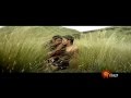 Trisha Hot Lips Ass Grab By Saamy Vikram