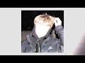 Vandalism - ##SATANSLUTT