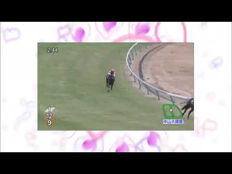 【競馬　結果】2017年12月23日　中山大障害　オジュウチョウサン　連覇レーコド勝ち【必殺！競馬人１】