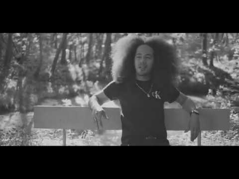 Amel Bent - Dis moi qui tu es (Orijinal Fox Cover)