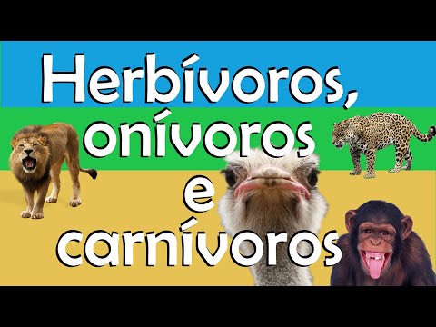 , title : 'Animais herbívoros, onívoros e carnívoros.'