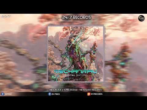 Mechanimal & SuperModule - The Nyquist Frequency