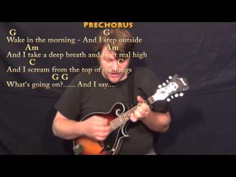 What's Up (4 NON BLONDES) Mandolin Cover Lesson with Chords/Lyrics - Capo 2nd