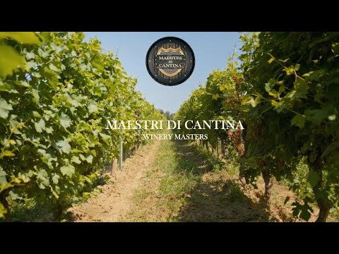 Maestri Di Cantina - Vini Nobili In Toscana - Documentari Italiani in HD
