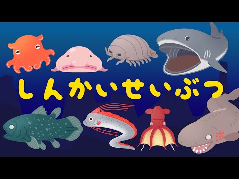 深海の動物: 知っておくべき興味深い事実