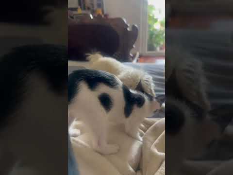 Vídeo de JUPITER