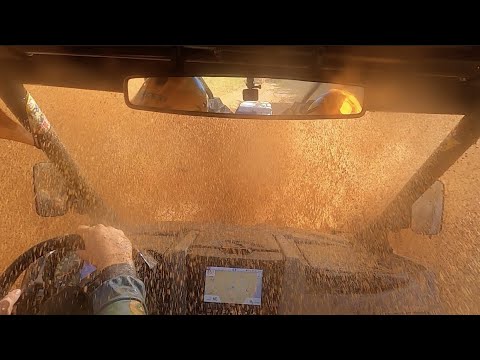 2023-02-25 - Trilha na Praia do Ervino - São Francisco do Sul - SC - Equipe Os Cobras