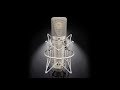 The Neumann U 67 Set (2018)