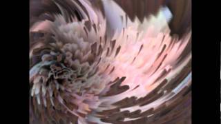 Robert Plant - Ship of Fools Cover