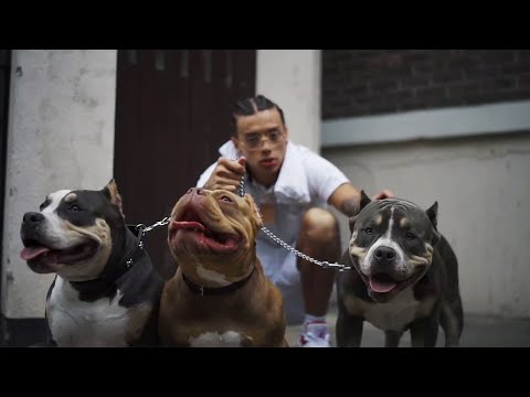 Central Cee x M24 x Abra Cadabra x K-Trap - By Now [Music Video]