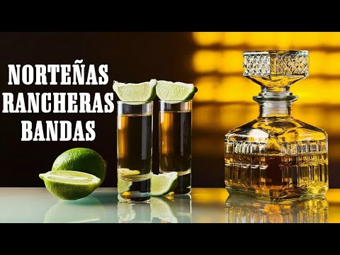 NORTEÑAS, RANCHERAS Y BANDAS MIX PARA AMANECER CHUPANDO - PARA PISTEAR TODA LA NOCHE